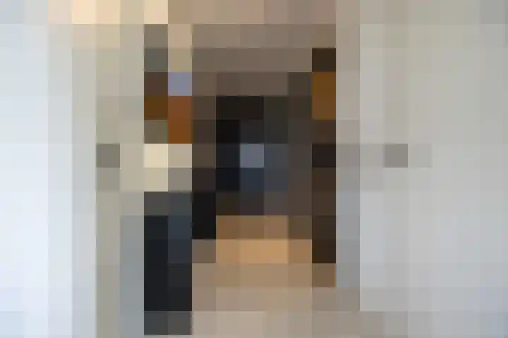 Kapucijnenhof 19 Oosterhout thumbnail 8