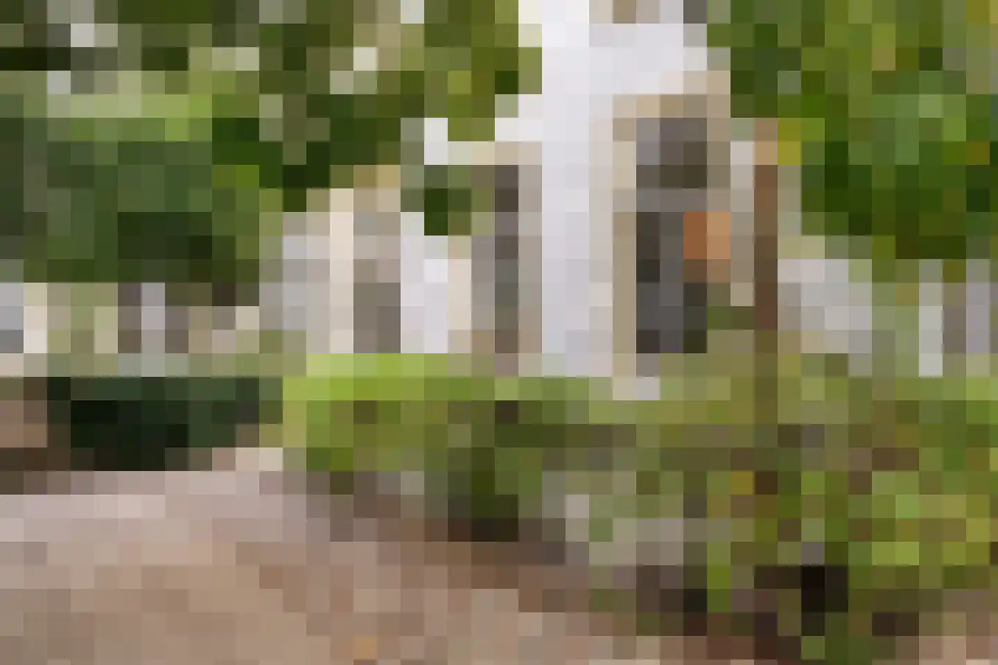 Kapucijnenhof 2 Breda thumbnail 20