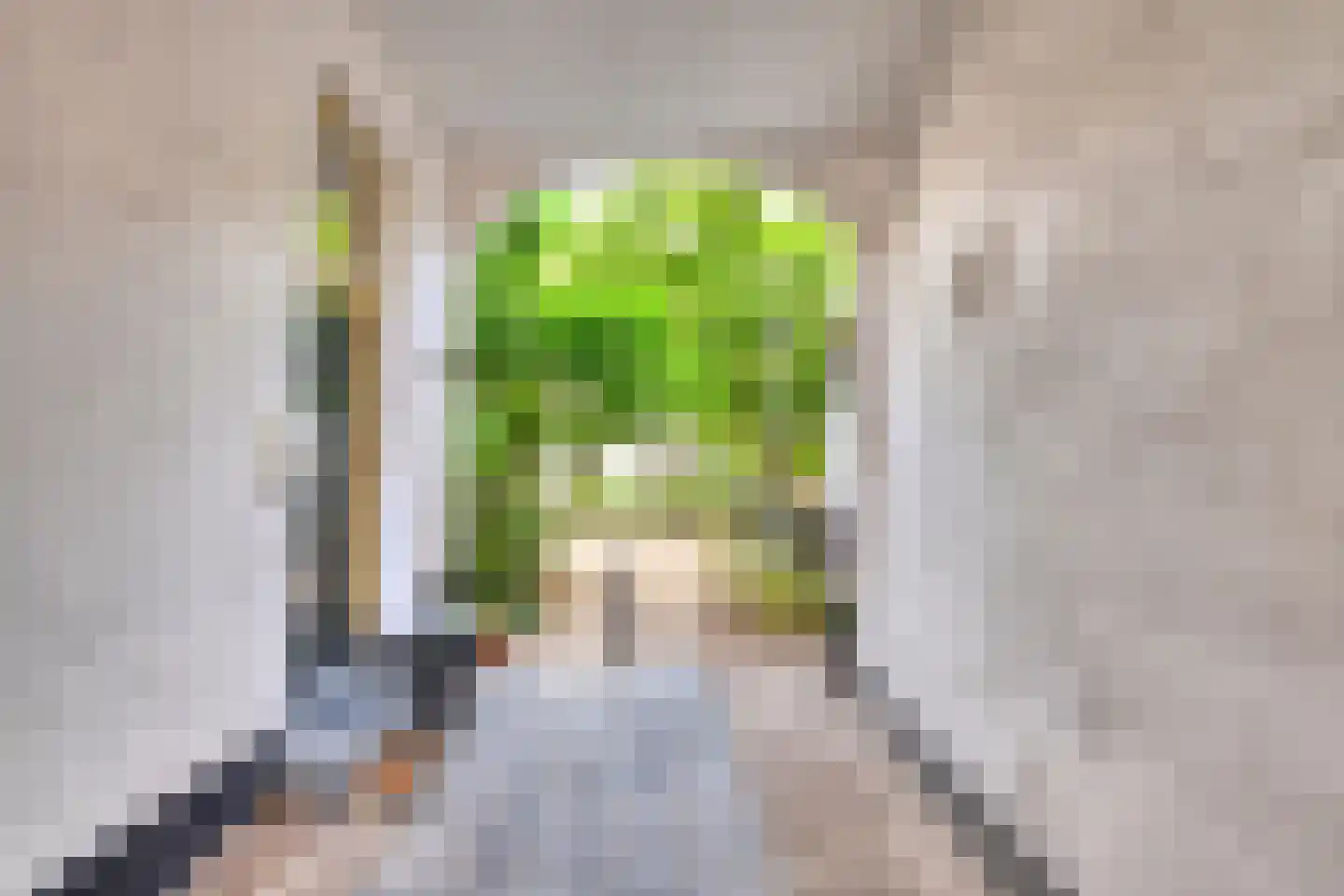 Kapucijnenhof 2 Breda thumbnail 21