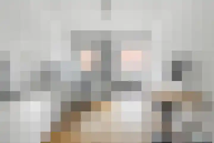 Kapucijnenhof 27 Breda thumbnail 13