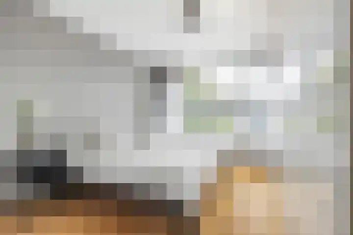 Kapucijnenhof 27 Breda thumbnail 18