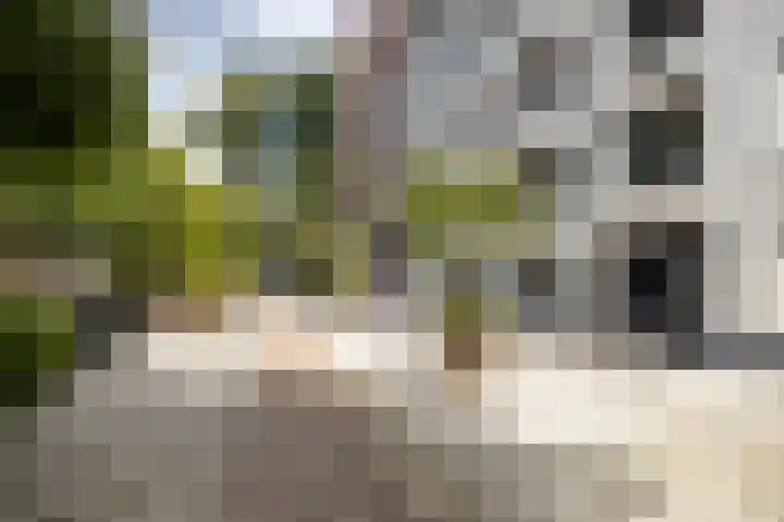Kapucijnenhof 27 Breda thumbnail 32