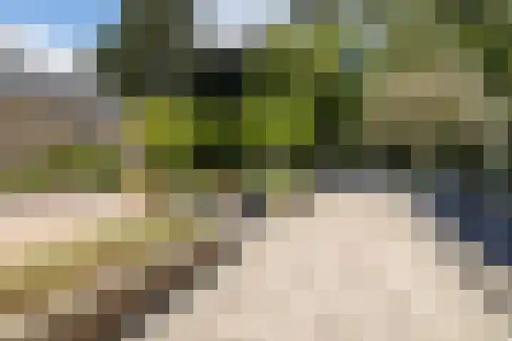 Kapucijnenhof 27 Breda thumbnail 34