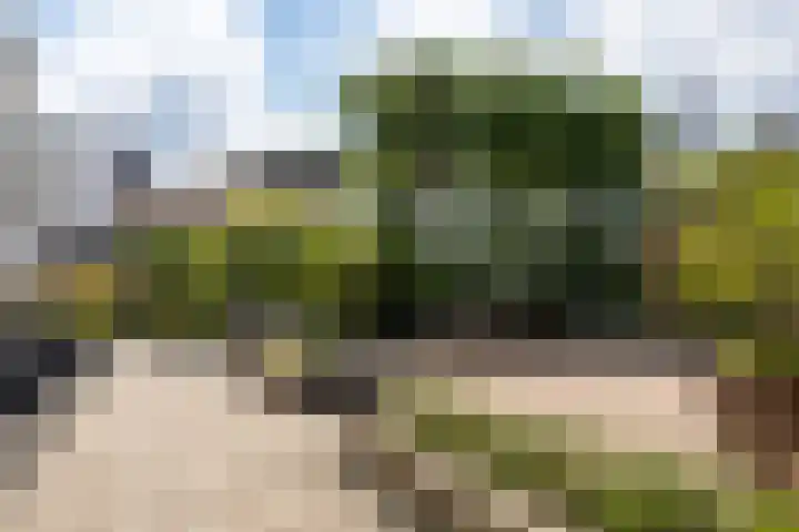 Kapucijnenhof 27 Breda thumbnail 35