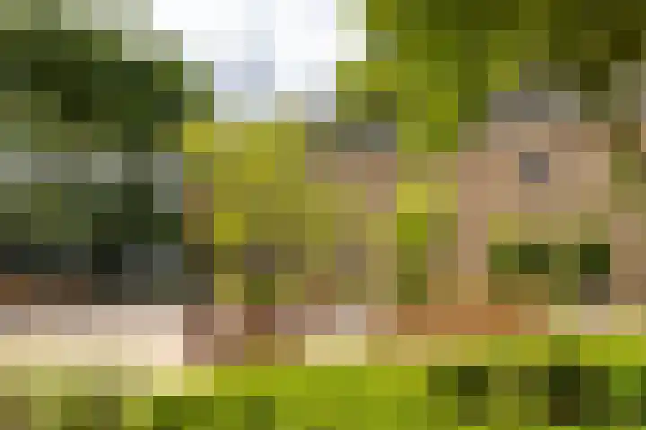 Kapucijnenhof 27 Breda thumbnail 36