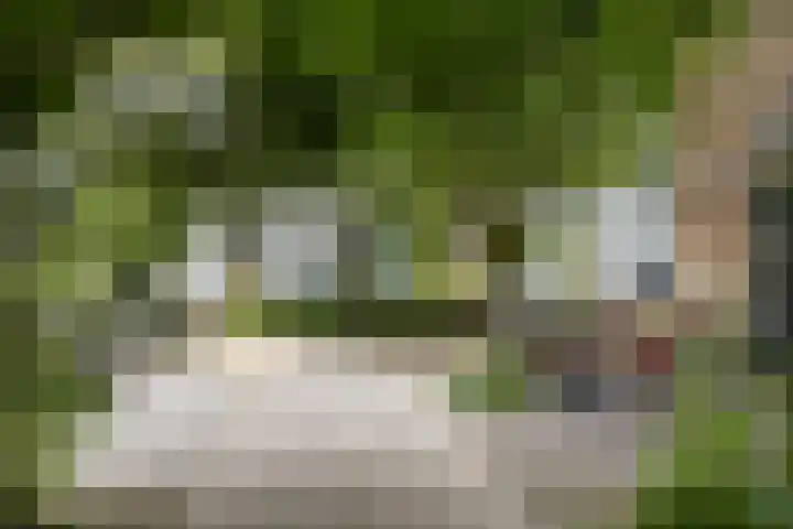 Kapucijnenhof 27 Breda thumbnail 37