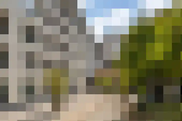 Kapucijnenhof 27 Breda thumbnail 38