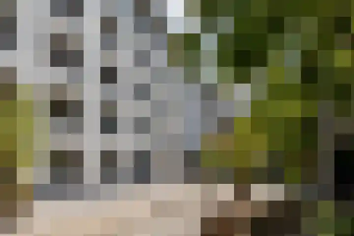 Kapucijnenhof 27 Breda thumbnail 39