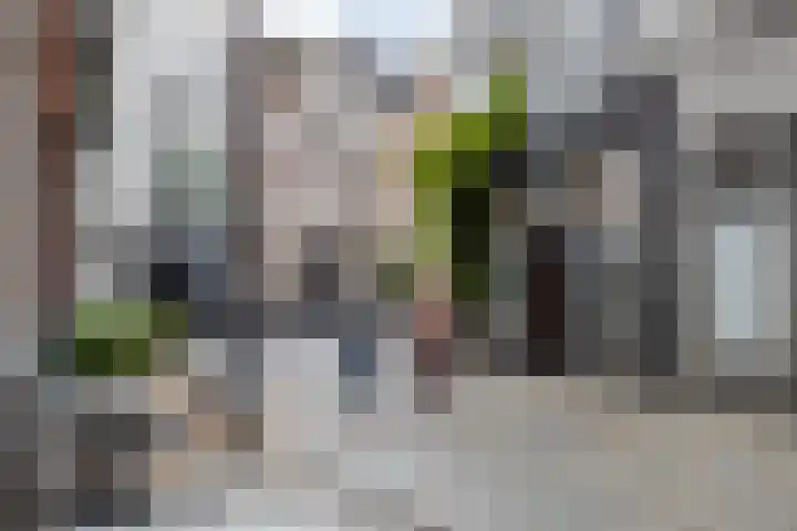Kapucijnenhof 27 Breda thumbnail 42