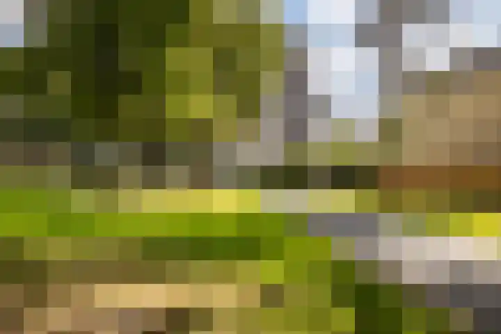 Kapucijnenhof 27 Breda thumbnail 43