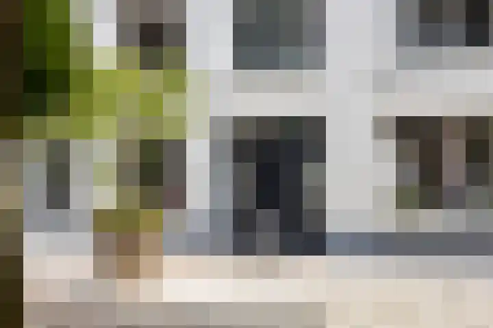 Kapucijnenhof 27 Breda thumbnail 6