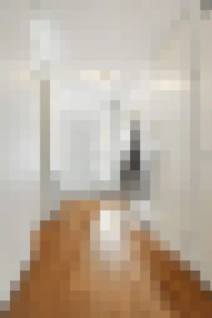 Kapucijnenhof 27 Breda thumbnail 7