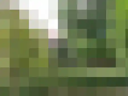 Kapucijnenhof 42 Oosterhout thumbnail 10