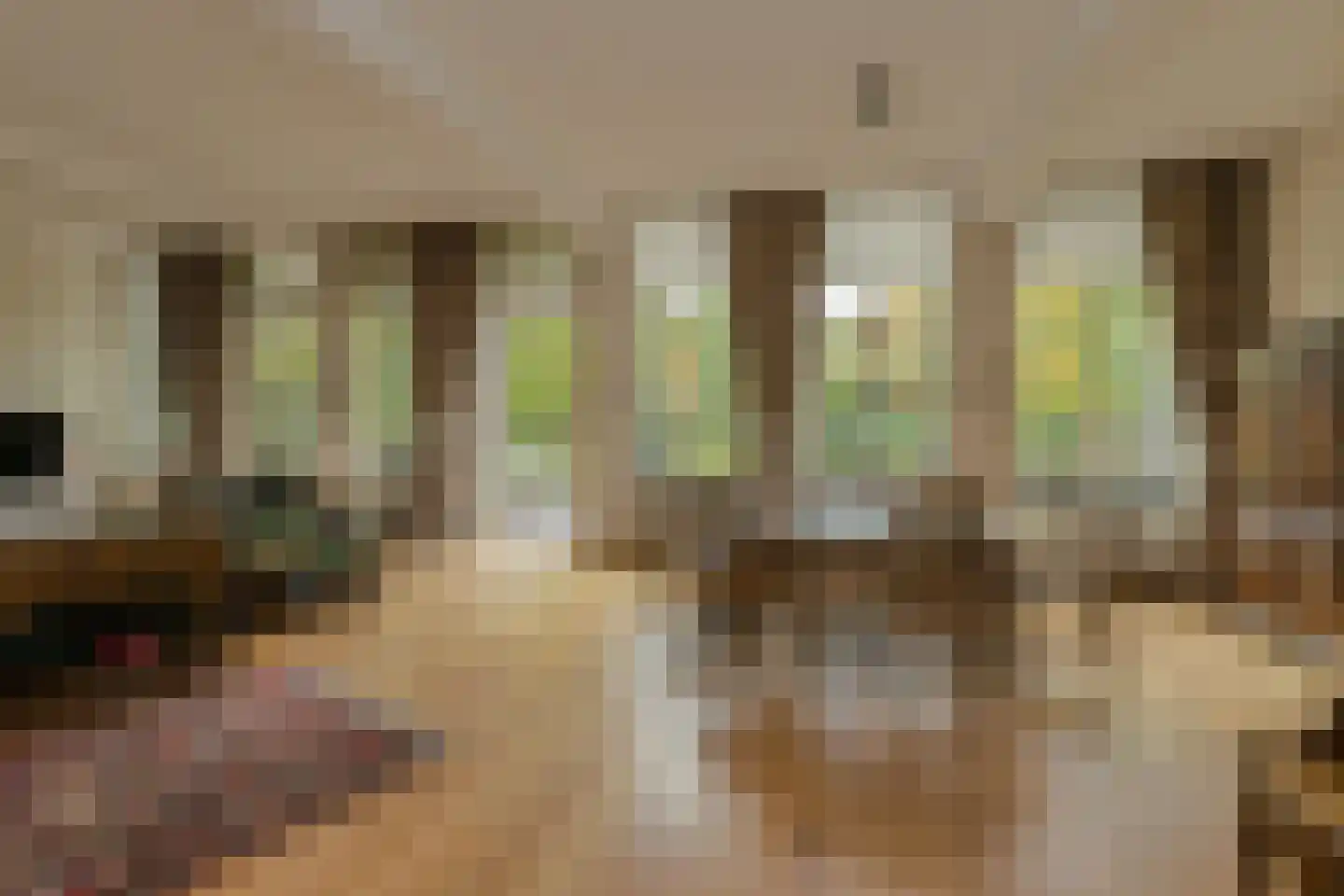 Kapucijnenhof 42 Oosterhout thumbnail 15