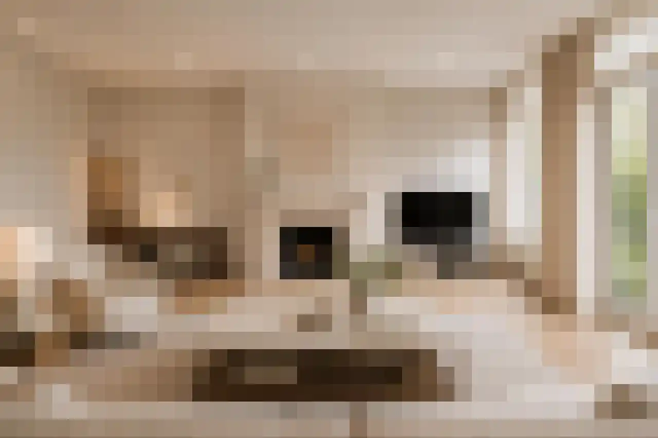 Kapucijnenhof 42 Oosterhout thumbnail 18
