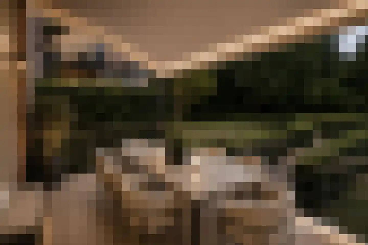 Kapucijnenhof 42 Oosterhout thumbnail 19