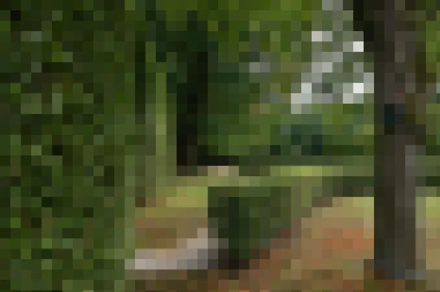 Kapucijnenhof 42 Oosterhout thumbnail 21