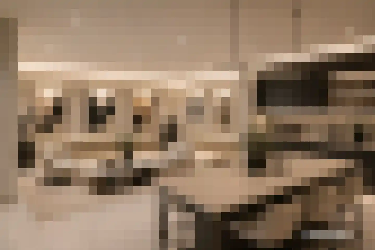 Kapucijnenhof 42 Oosterhout thumbnail 32