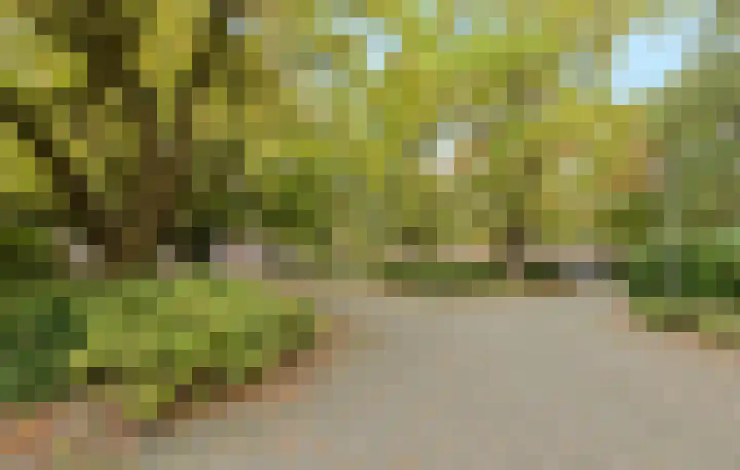 Kapucijnenhof 42 Oosterhout thumbnail 36