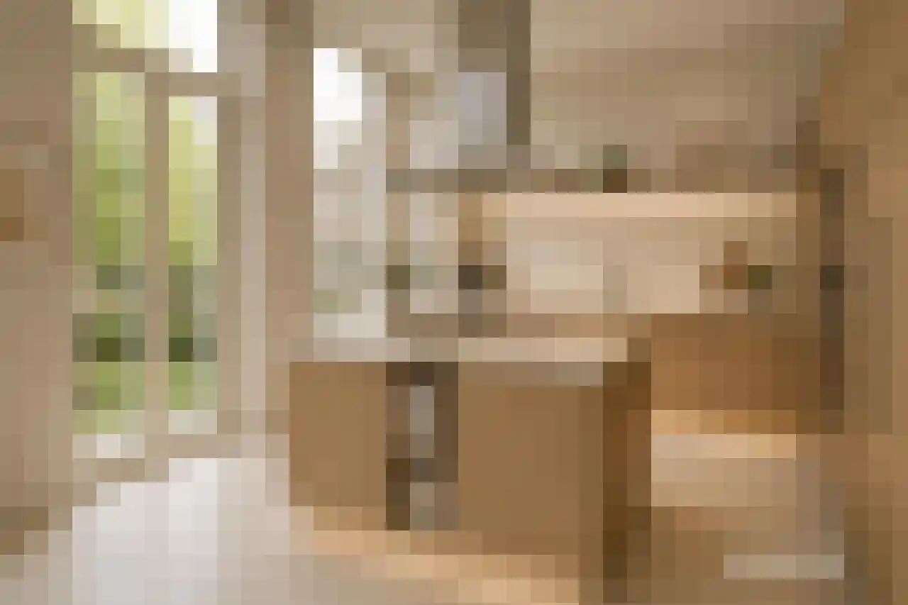 Kapucijnenhof 42 Oosterhout thumbnail 4