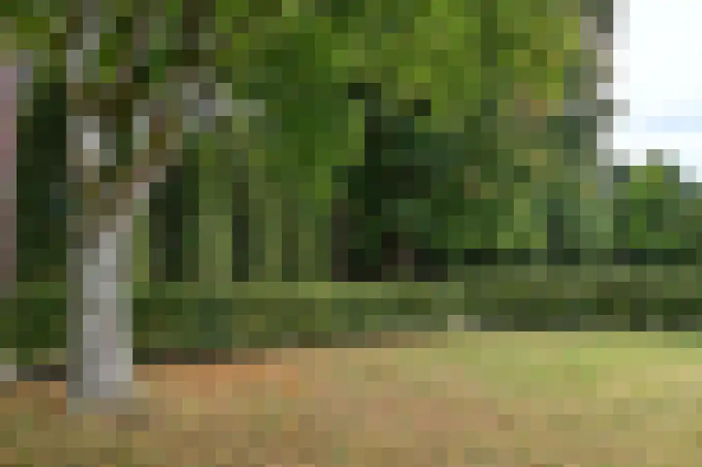 Kapucijnenhof 42 Oosterhout thumbnail 5