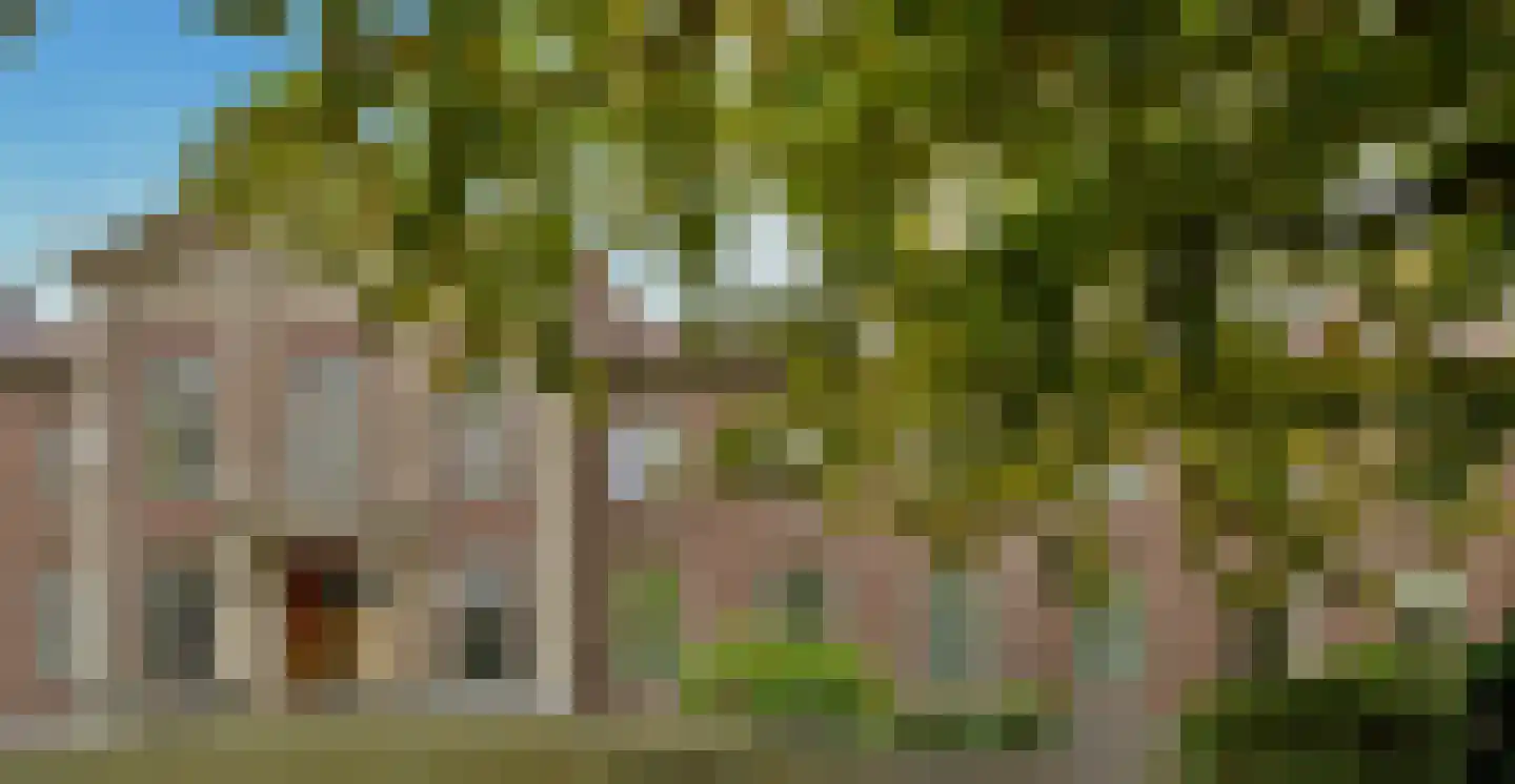 Kapucijnenhof 42 Oosterhout thumbnail 6