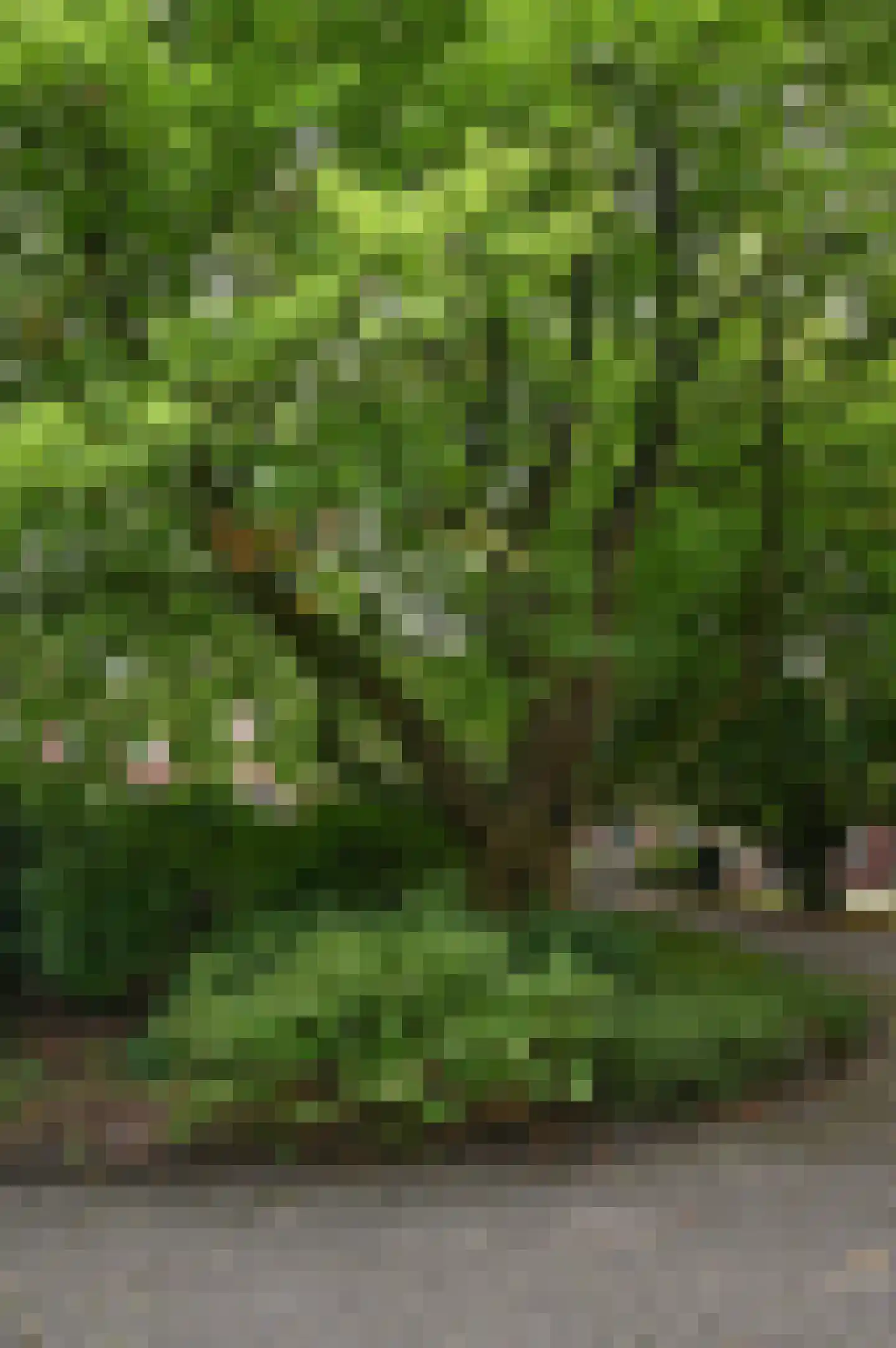 Kapucijnenhof 42 Oosterhout thumbnail 7