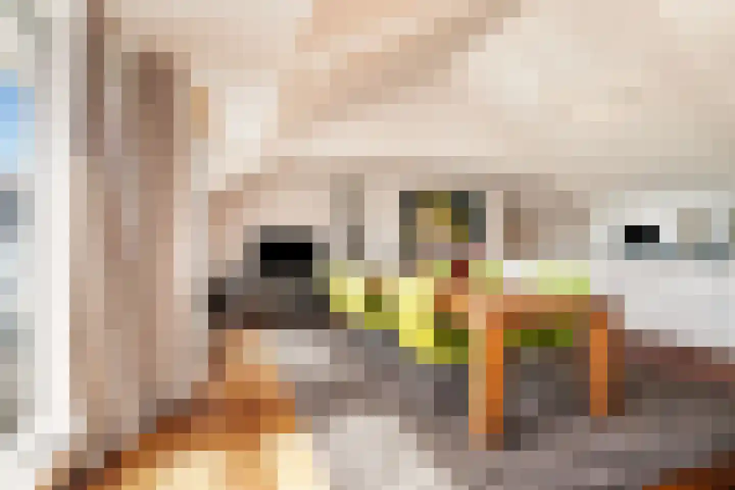 Kapucijnenhof 50 Oosterhout thumbnail 12