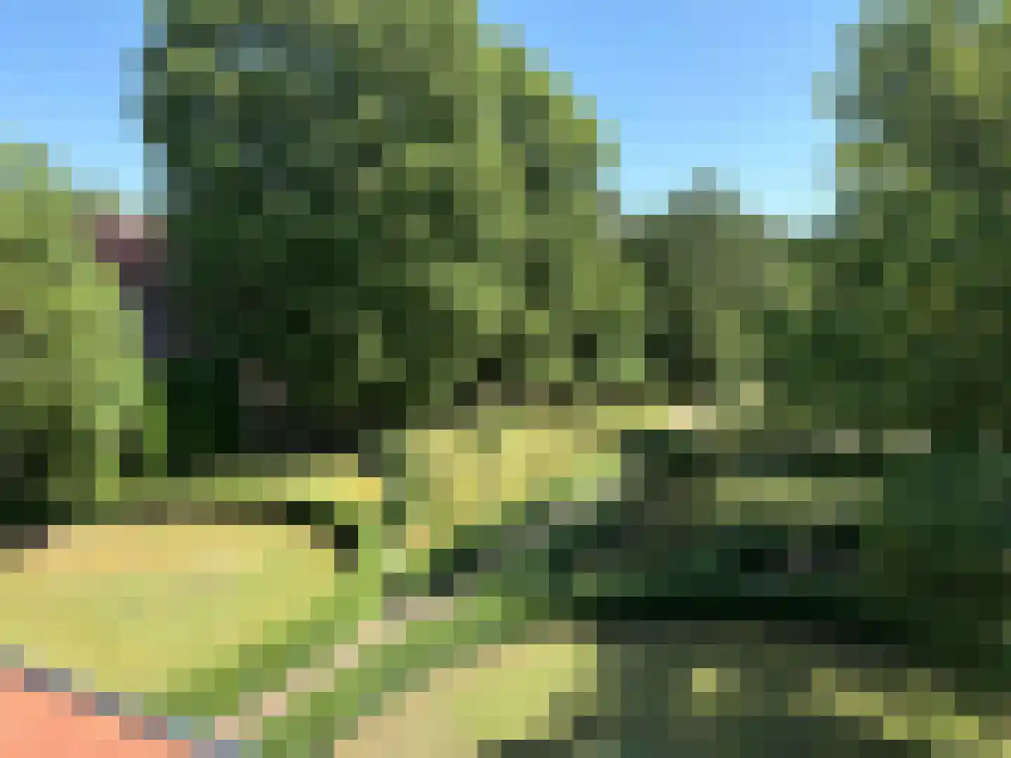 Kapucijnenhof 50 Oosterhout thumbnail 47