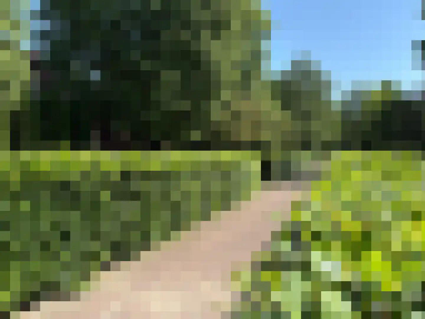 Kapucijnenhof 50 Oosterhout thumbnail 49