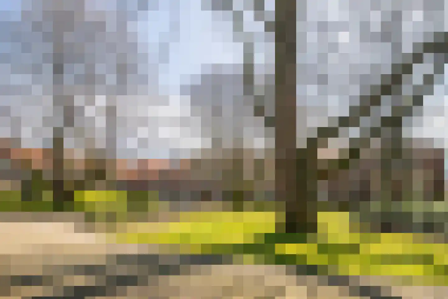 Kapucijnenhof 50 Oosterhout thumbnail 50