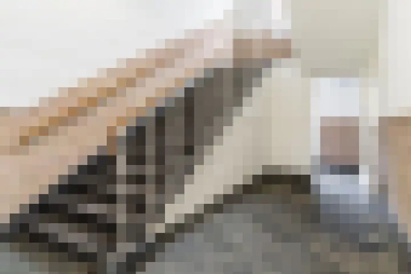 Kapucijnenhof 50 Oosterhout thumbnail 7
