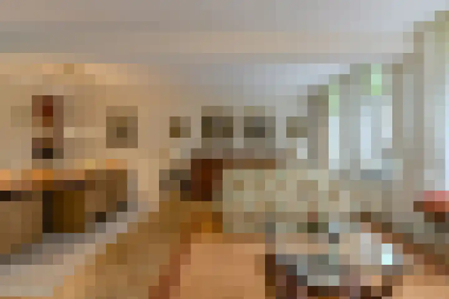 Kapucijnenhof 60 Oosterhout thumbnail 12