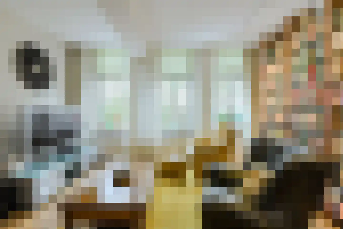 Kapucijnenhof 60 Oosterhout thumbnail 13