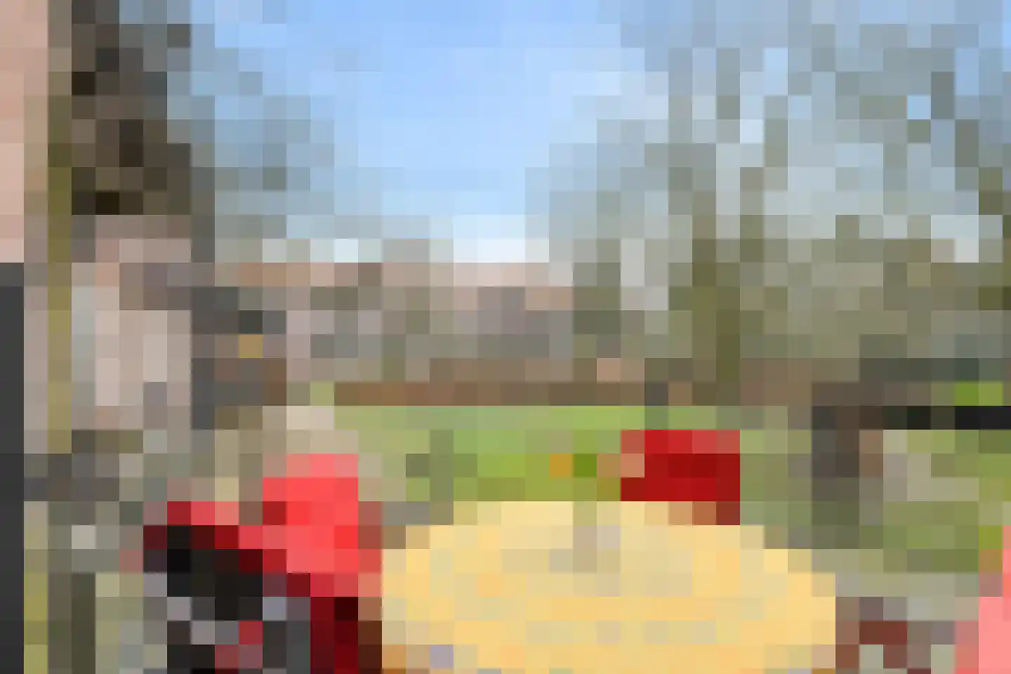 Kapucijnenhof 60 Oosterhout thumbnail 15