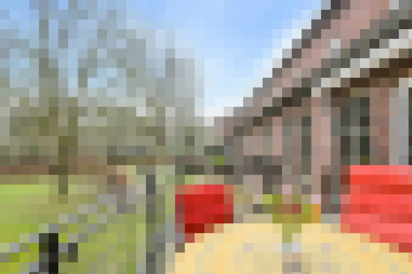 Kapucijnenhof 60 Oosterhout thumbnail 16