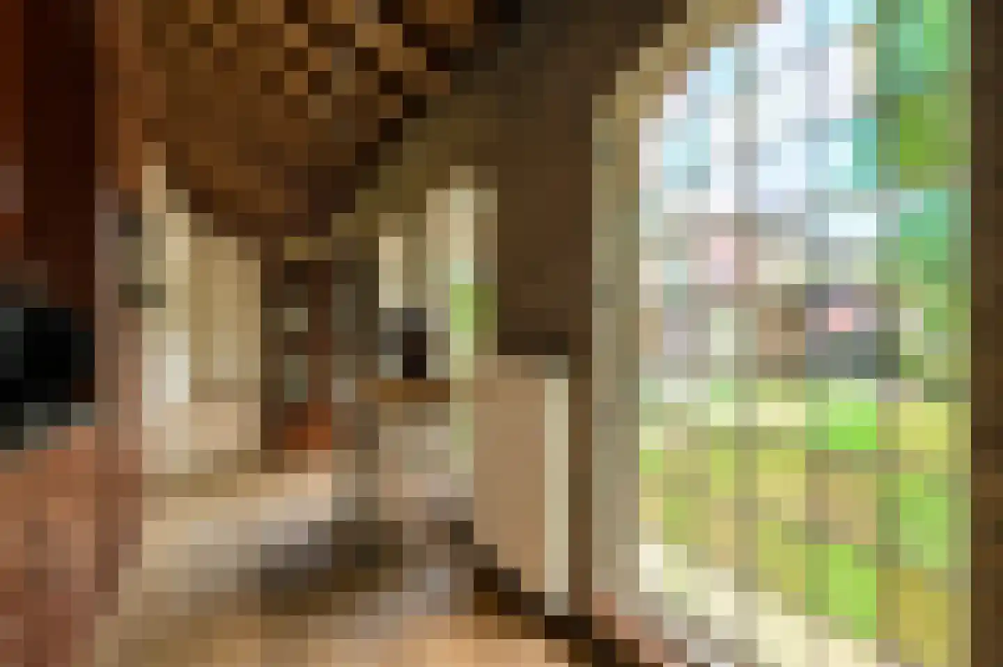 Kapucijnenhof 60 Oosterhout thumbnail 17