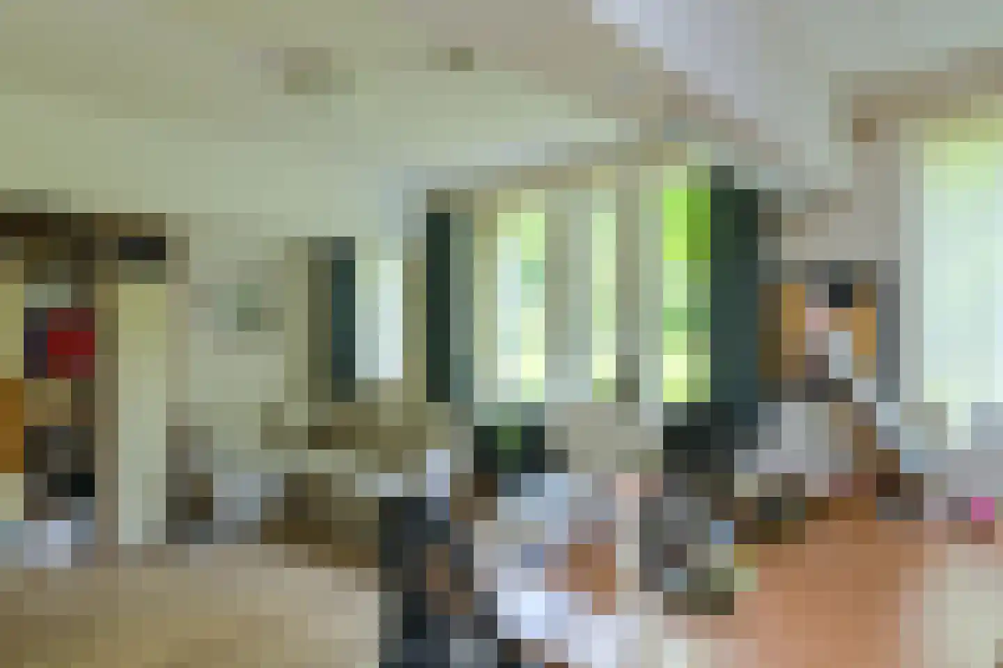 Kapucijnenhof 60 Oosterhout thumbnail 25
