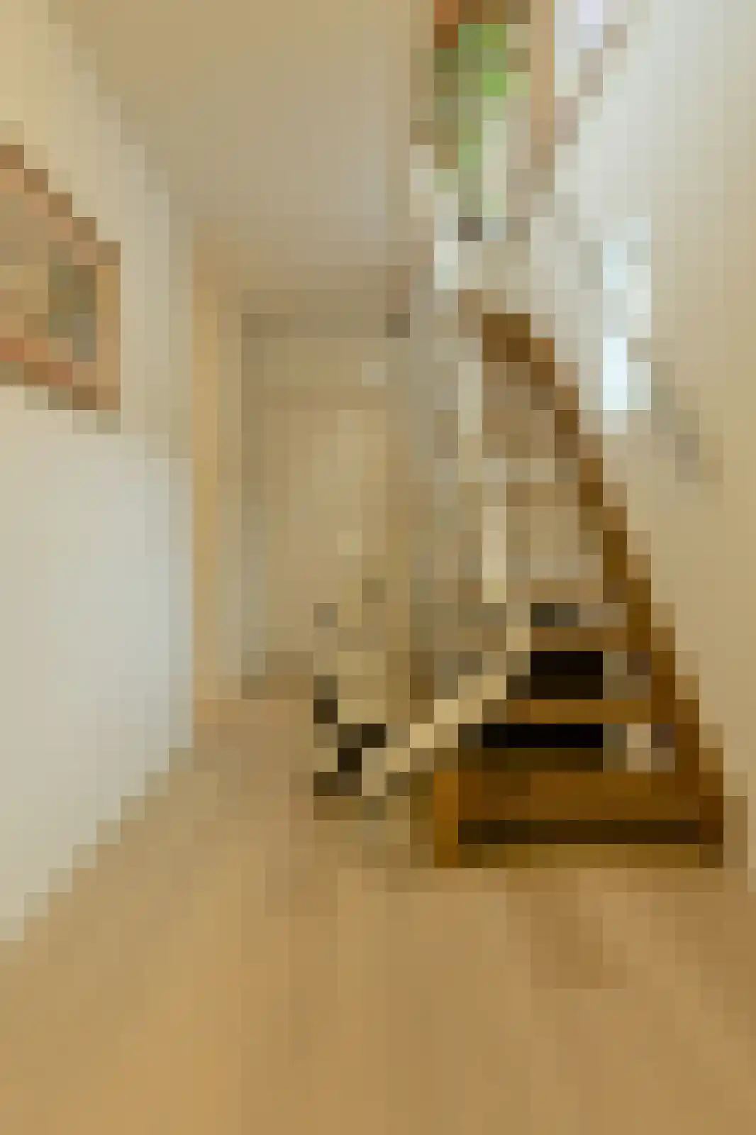 Kapucijnenhof 60 Oosterhout thumbnail 25