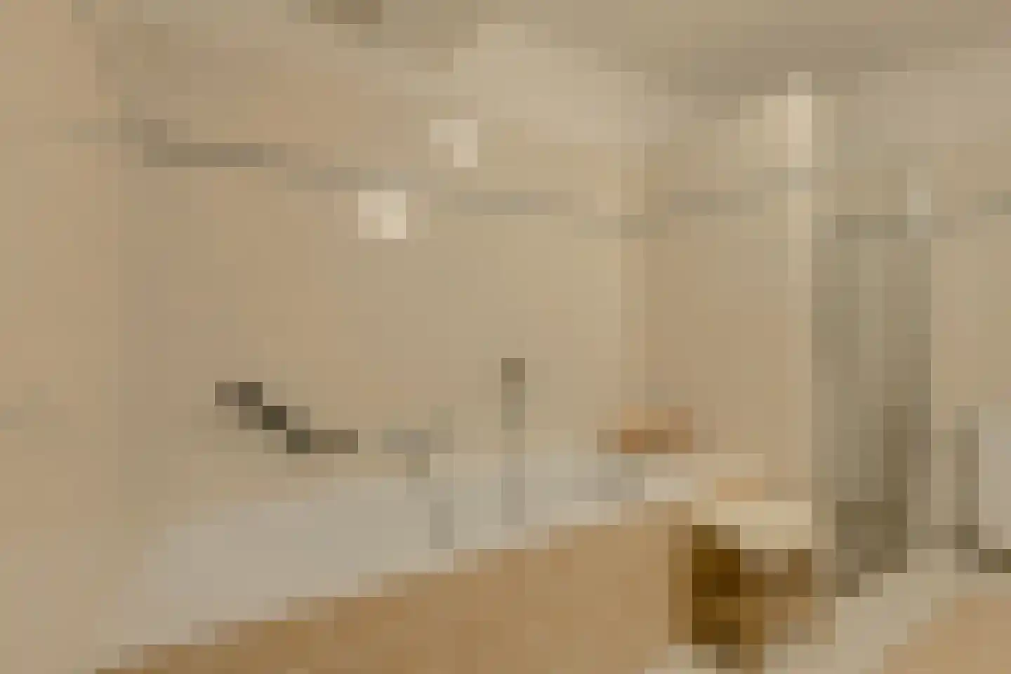 Kapucijnenhof 60 Oosterhout thumbnail 31
