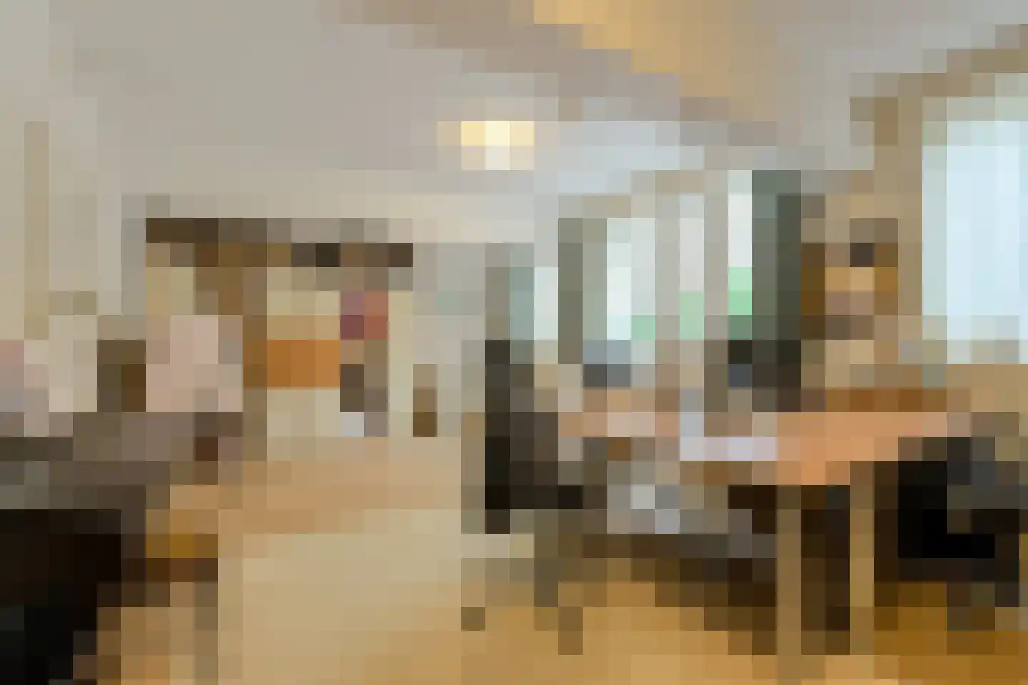 Kapucijnenhof 60 Oosterhout thumbnail 32