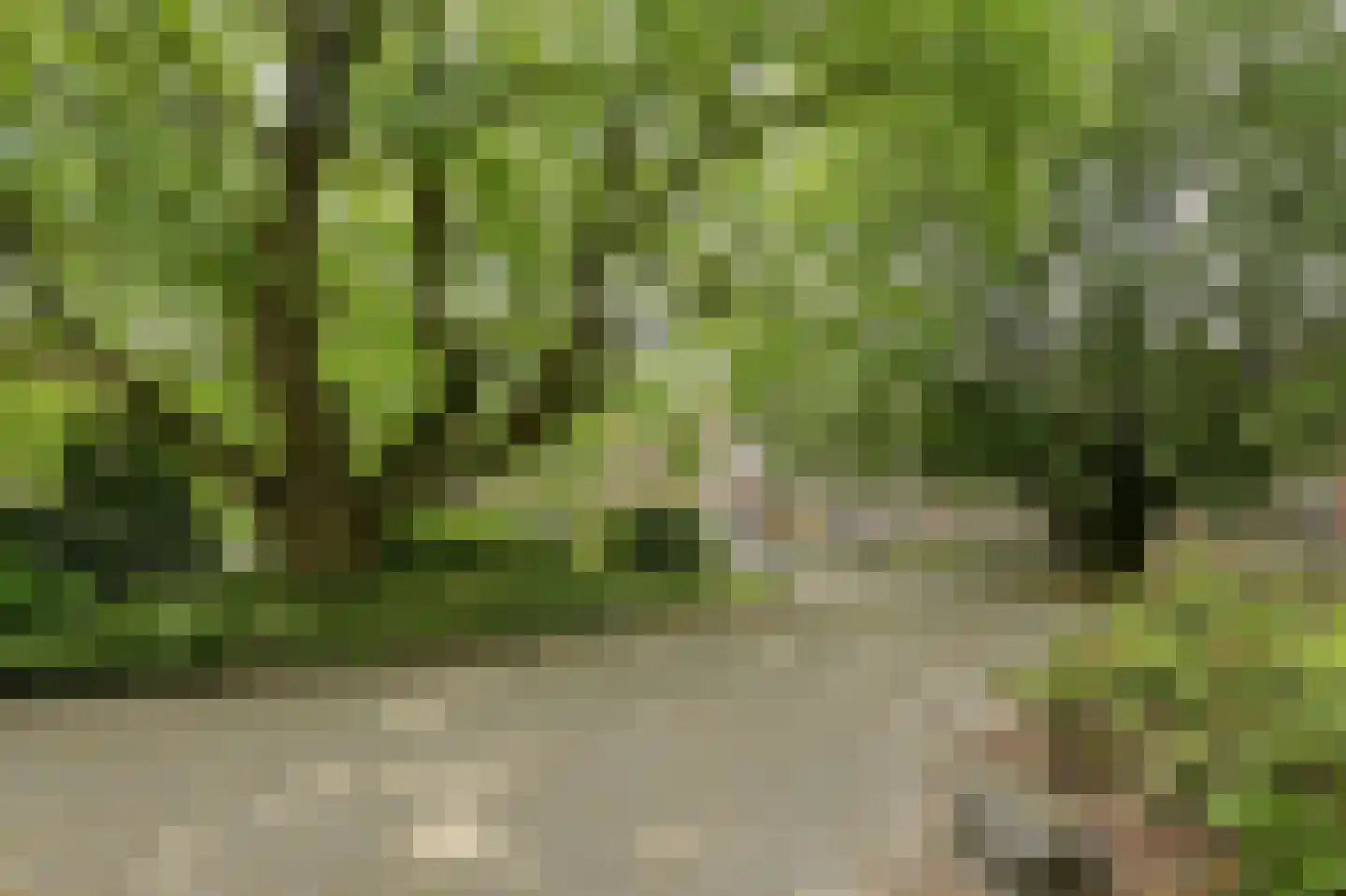 Kapucijnenhof 60 Oosterhout thumbnail 34