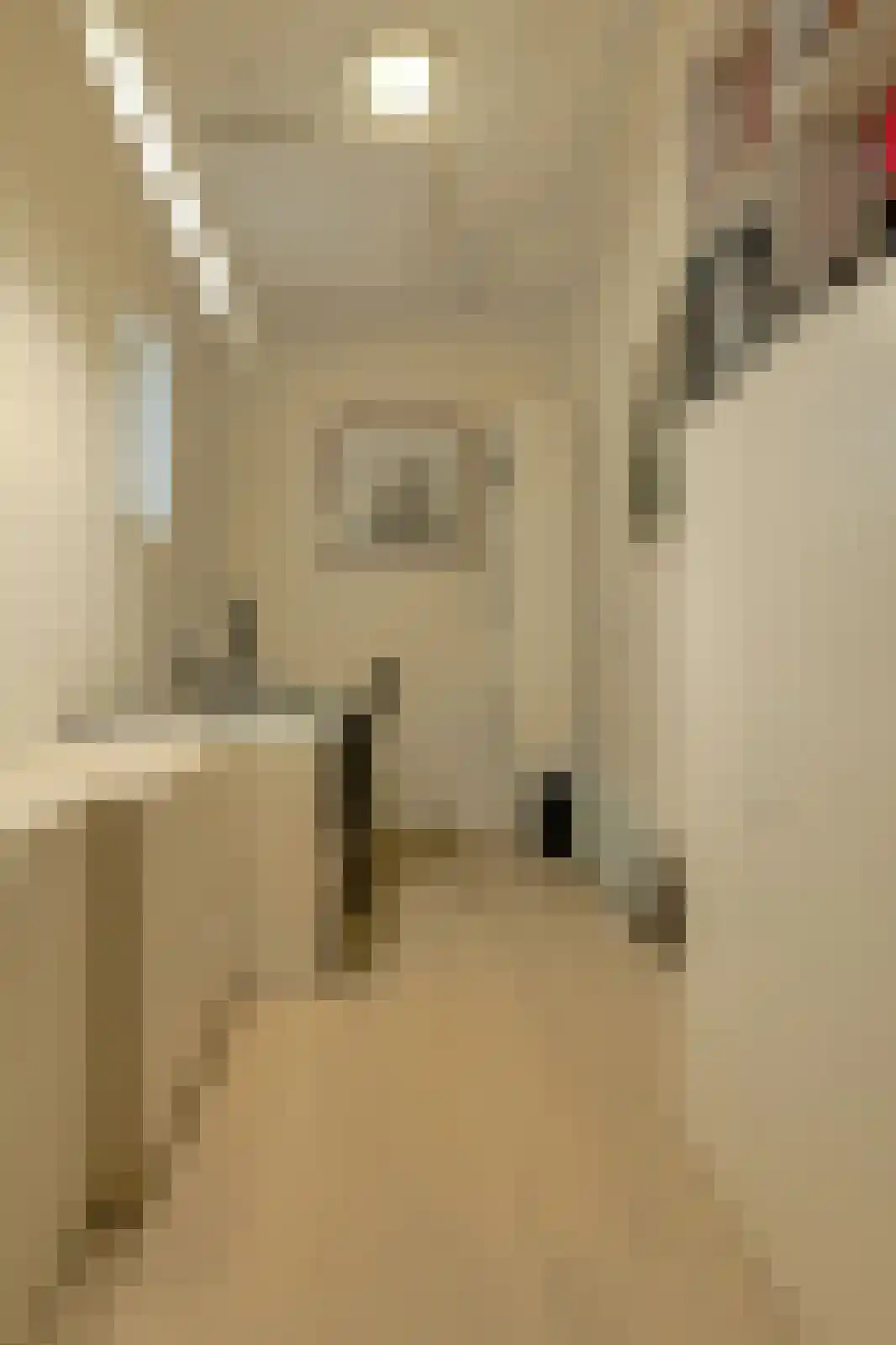 Kapucijnenhof 60 Oosterhout thumbnail 34