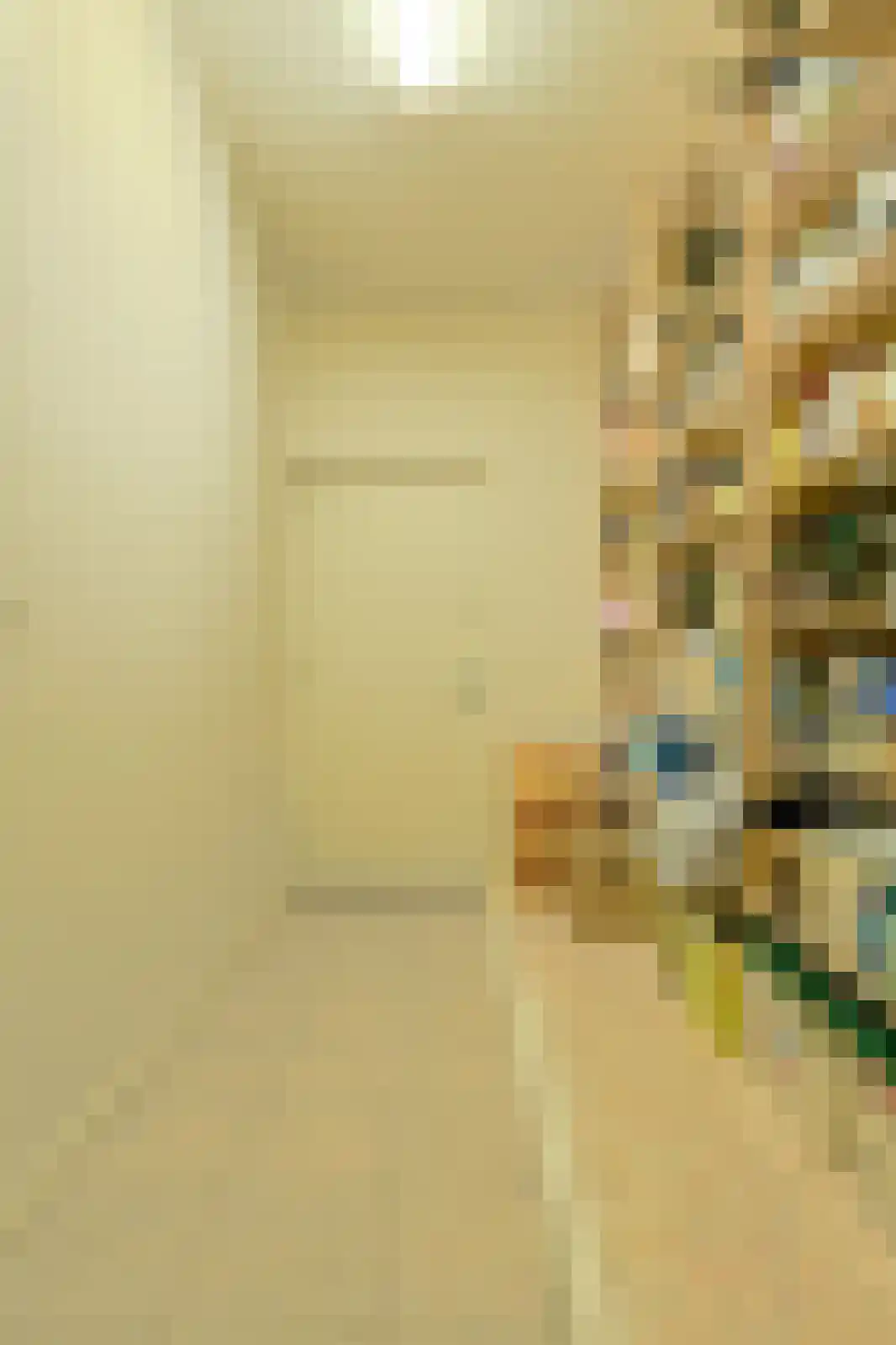 Kapucijnenhof 60 Oosterhout thumbnail 36