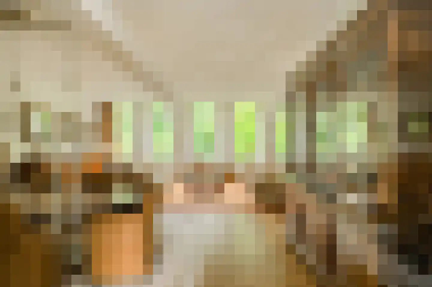 Kapucijnenhof 60 Oosterhout thumbnail 9