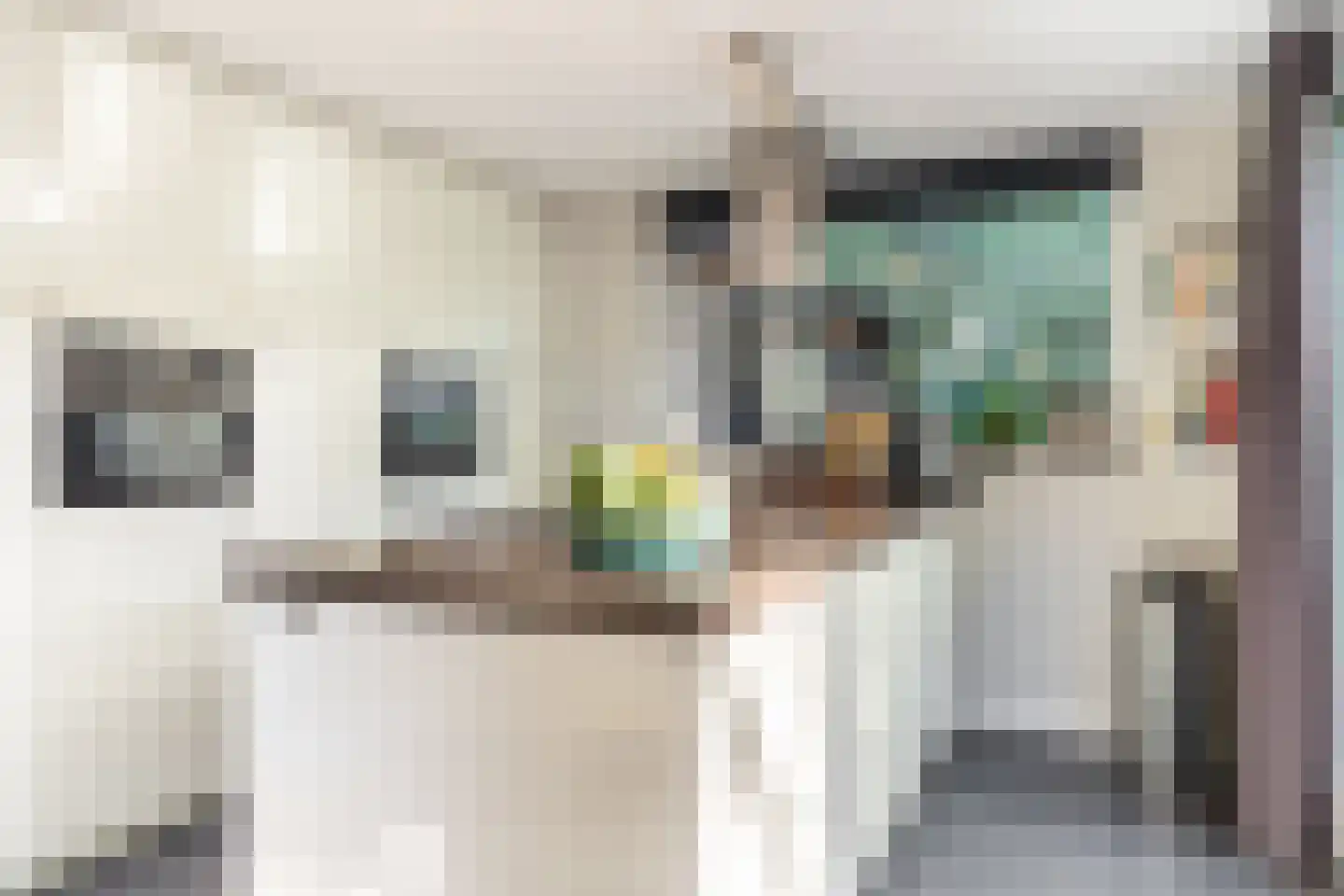 Kapucijnenhof 67 Oosterhout thumbnail 32