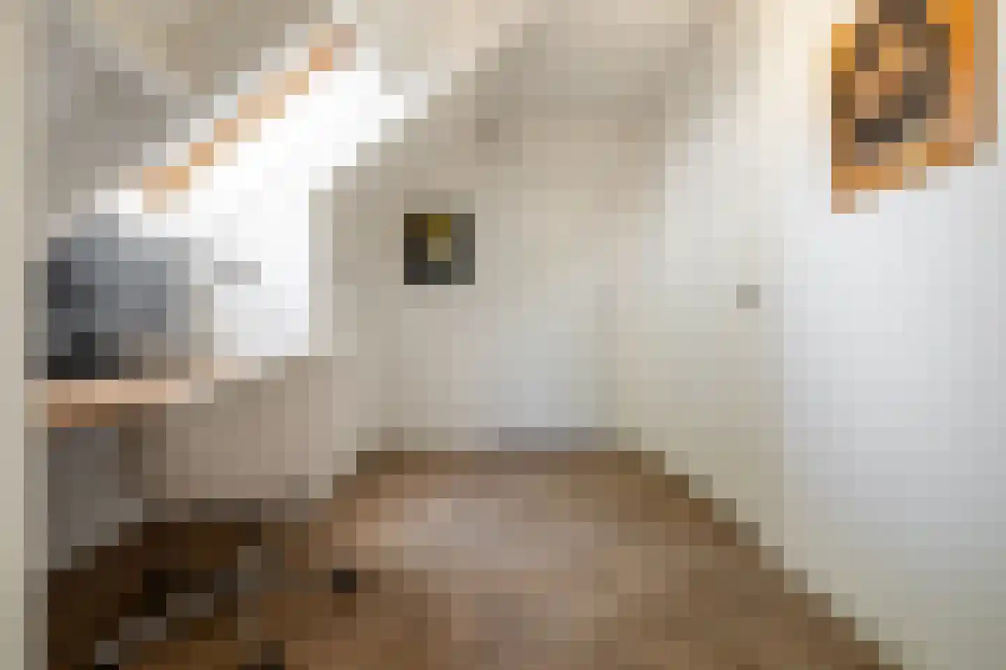 Kapucijnenhof 67 Oosterhout thumbnail 50