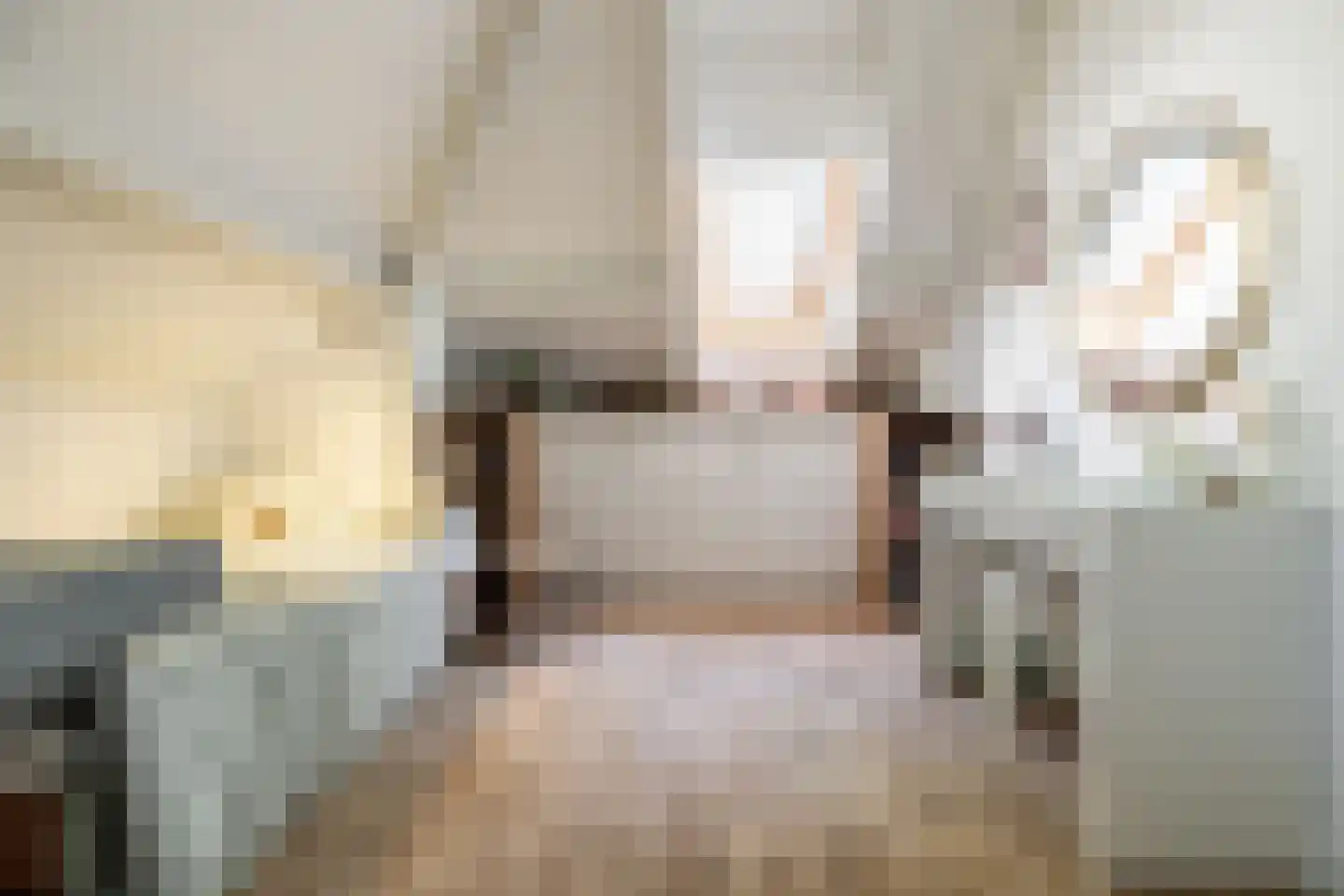 Kapucijnenhof 67 Oosterhout thumbnail 52