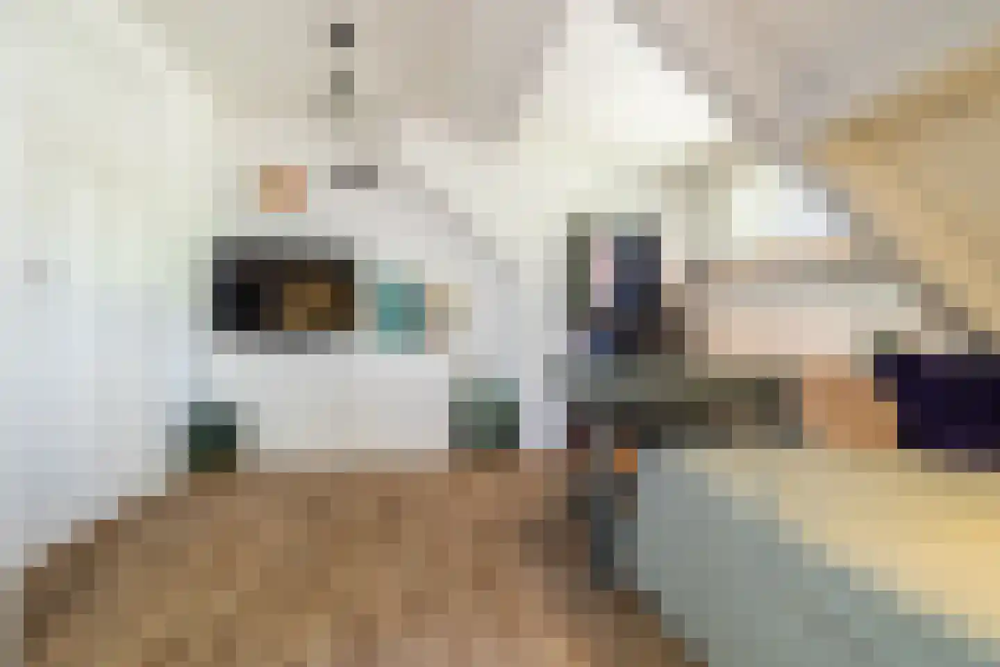 Kapucijnenhof 67 Oosterhout thumbnail 53