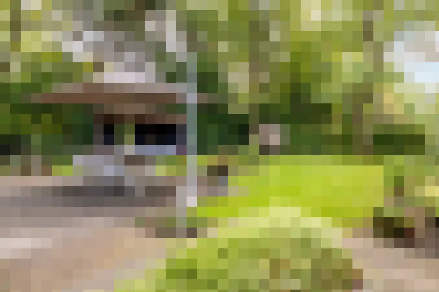 Kapucijnenhof 67 Oosterhout thumbnail 56